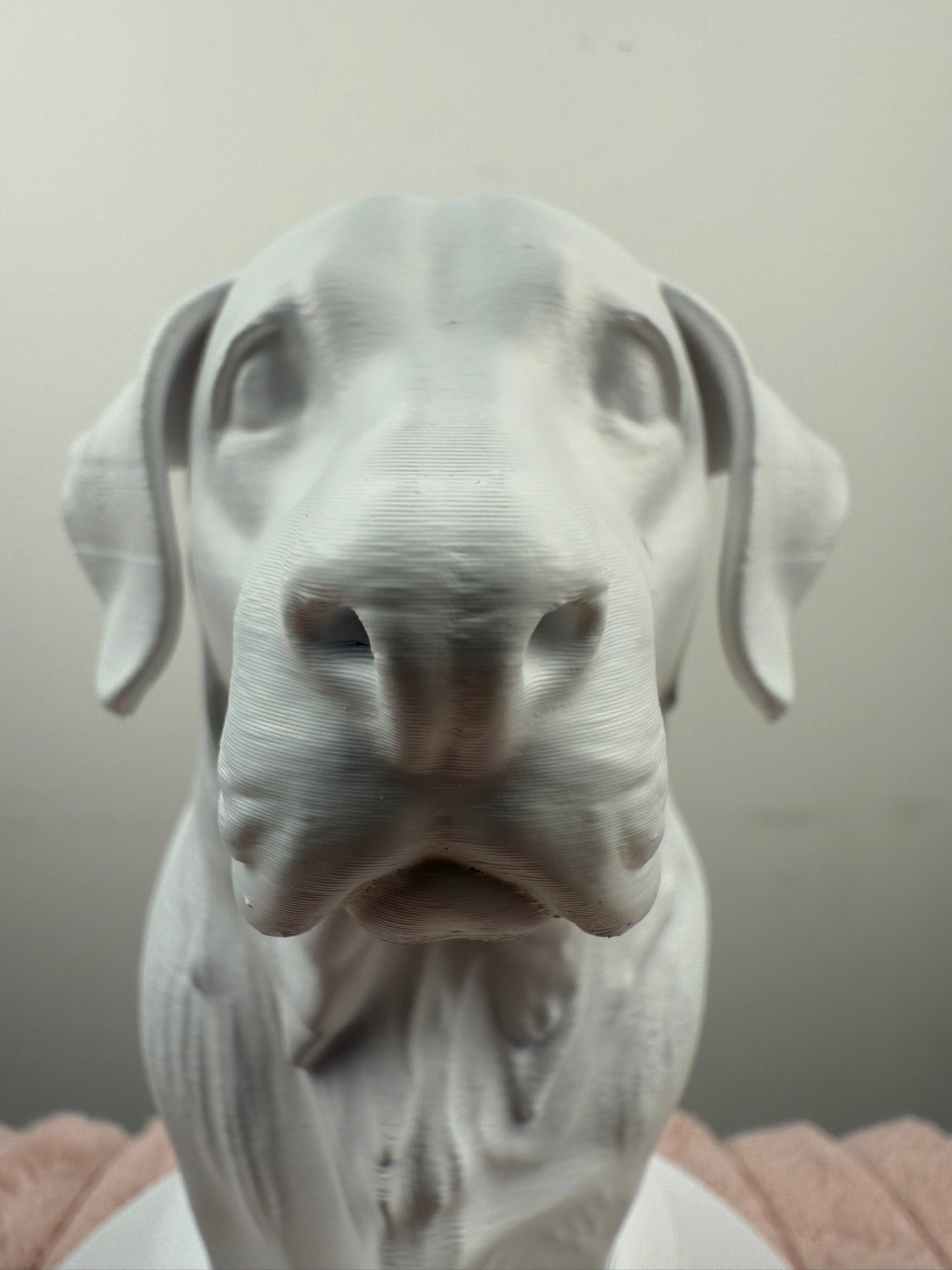 Custom 3-D Printed Pet Bust | 12 - 20 cm | Upload Your Dog, Cat or Any Animal