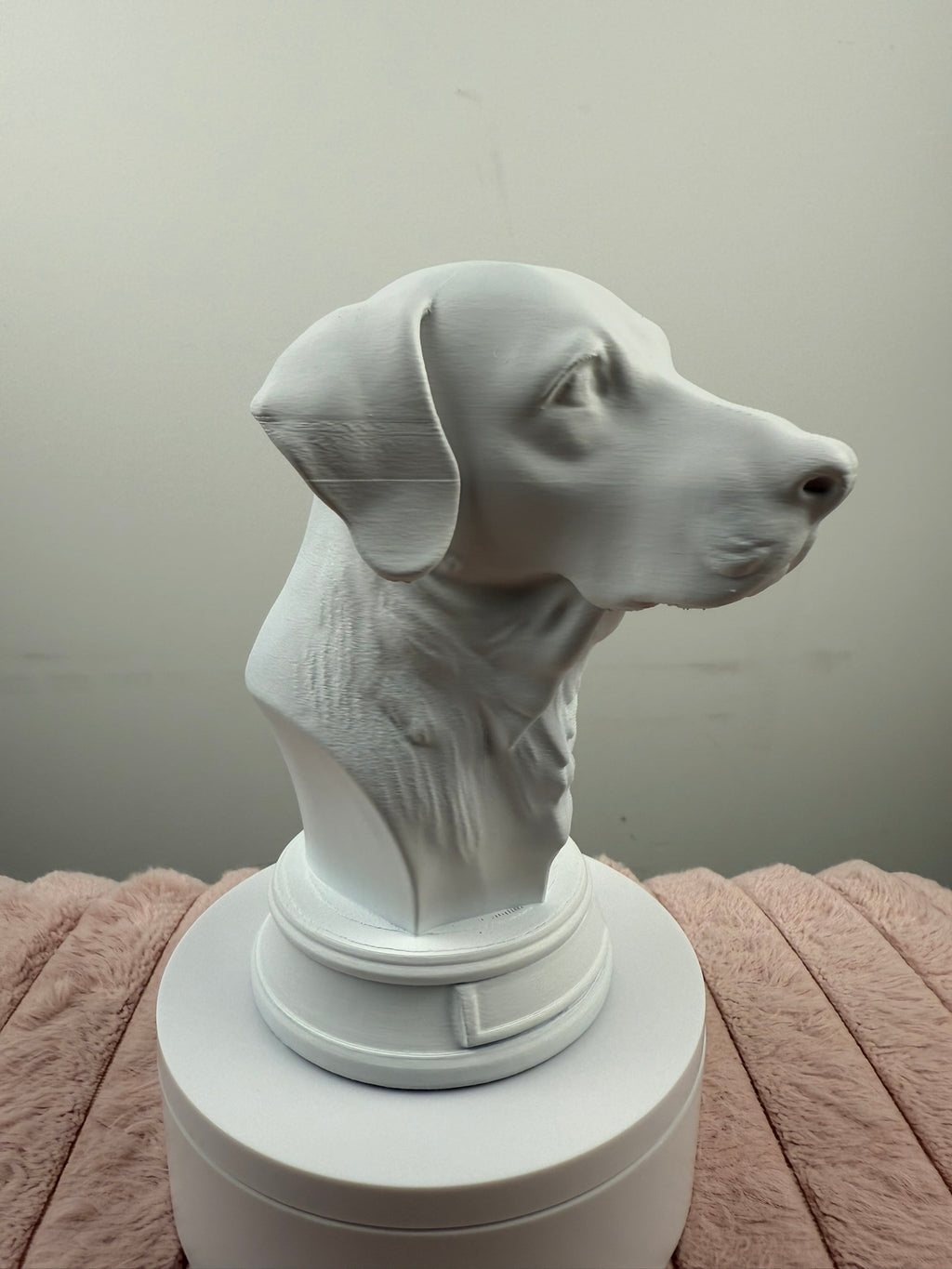 Custom 3-D Printed Pet Bust | 12 - 20 cm | Upload Your Dog, Cat or Any Animal